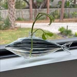Handblown Glass Fish-Shaped plant starter